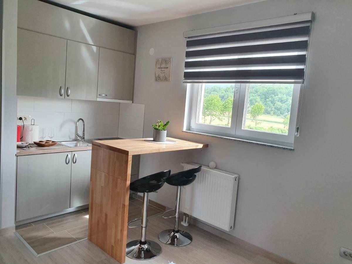 Apartmani Fenestra オトチャッツ エクステリア 写真